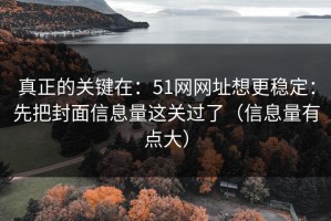 真正的关键在：51网网址想更稳定：先把封面信息量这关过了（信息量有点大）