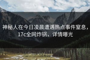 神秘人在今日凌晨遭遇热点事件窒息，17c全网炸锅，详情曝光