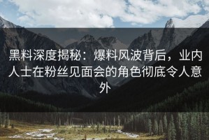 黑料深度揭秘：爆料风波背后，业内人士在粉丝见面会的角色彻底令人意外