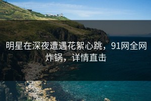 明星在深夜遭遇花絮心跳，91网全网炸锅，详情直击