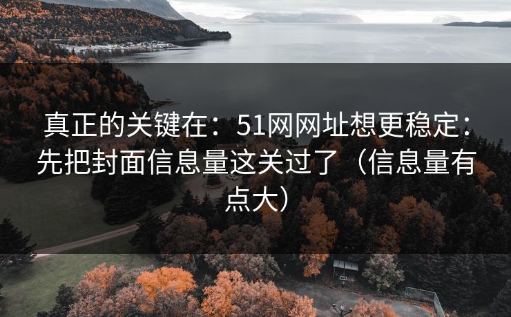 真正的关键在：51网网址想更稳定：先把封面信息量这关过了（信息量有点大）
