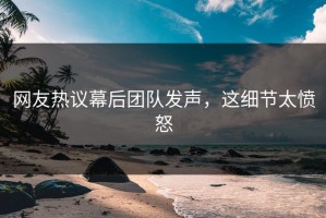 网友热议幕后团队发声，这细节太愤怒