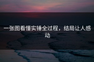 一张图看懂实锤全过程，结局让人感动