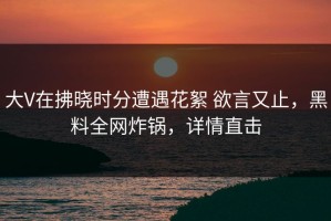 大V在拂晓时分遭遇花絮 欲言又止，黑料全网炸锅，详情直击