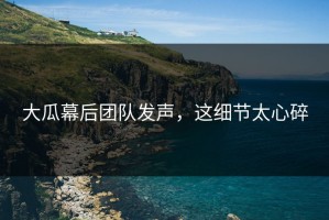 大瓜幕后团队发声，这细节太心碎
