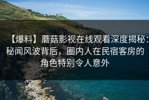 【爆料】蘑菇影视在线观看深度揭秘：秘闻风波背后，圈内人在民宿客房的角色特别令人意外