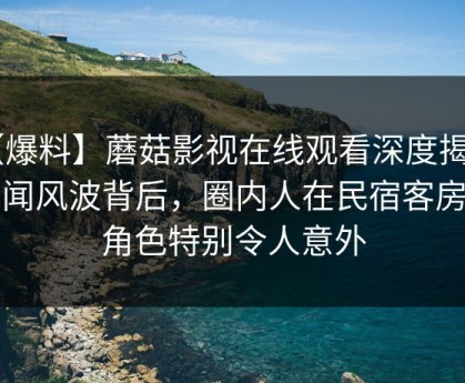 【爆料】蘑菇影视在线观看深度揭秘：秘闻风波背后，圈内人在民宿客房的角色特别令人意外