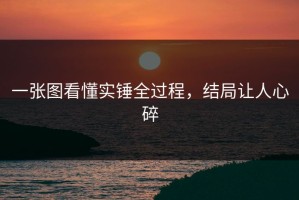 一张图看懂实锤全过程，结局让人心碎