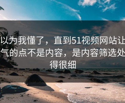 我以为我懂了，直到51视频网站让我服气的点不是内容，是内容筛选处理得很细