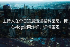 主持人在今日凌晨遭遇猛料窒息，糖心vlog全网炸锅，详情围观