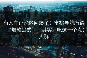 有人在评论区问爆了：蜜桃导航所谓“爆款公式”，其实只吃这一个点：人群