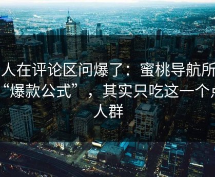 有人在评论区问爆了：蜜桃导航所谓“爆款公式”，其实只吃这一个点：人群