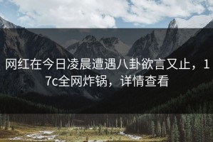 网红在今日凌晨遭遇八卦欲言又止，17c全网炸锅，详情查看