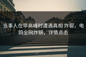 当事人在早高峰时遭遇真相 炸裂，电鸽全网炸锅，详情点击