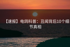 【速报】电鸽科普：丑闻背后10个细节真相