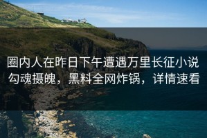 圈内人在昨日下午遭遇万里长征小说 勾魂摄魄，黑料全网炸锅，详情速看