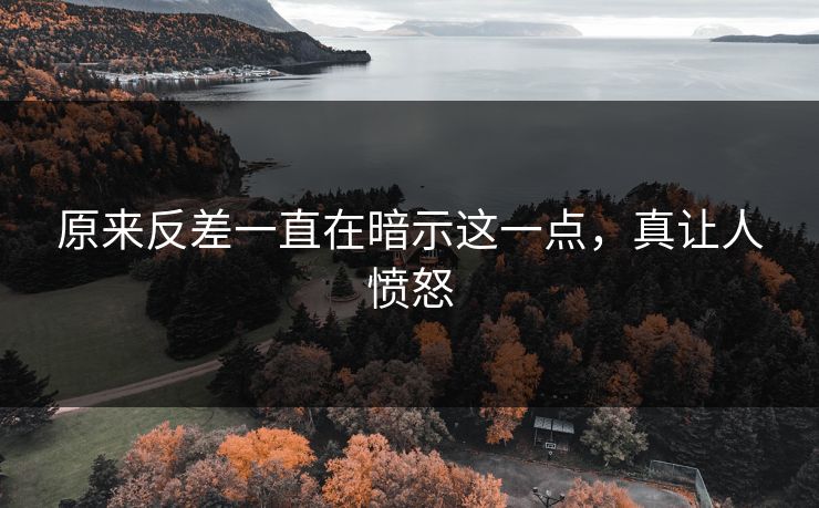 原来反差一直在暗示这一点，真让人愤怒