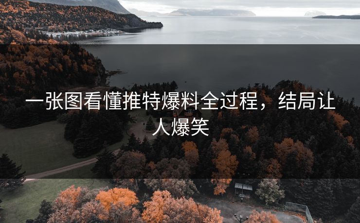 一张图看懂推特爆料全过程，结局让人爆笑