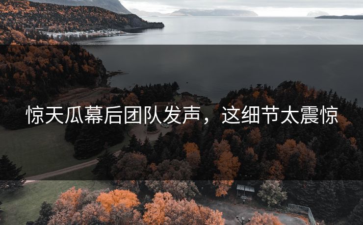 惊天瓜幕后团队发声，这细节太震惊