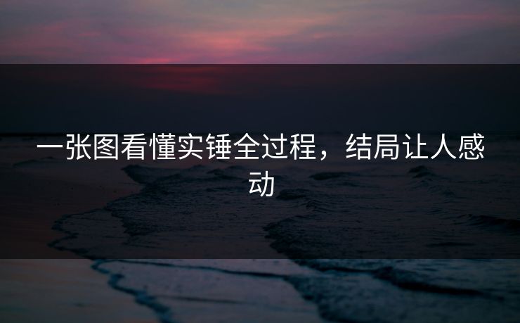一张图看懂实锤全过程,结局让人感动 一张图看懂实锤全过程,结局让人感动
