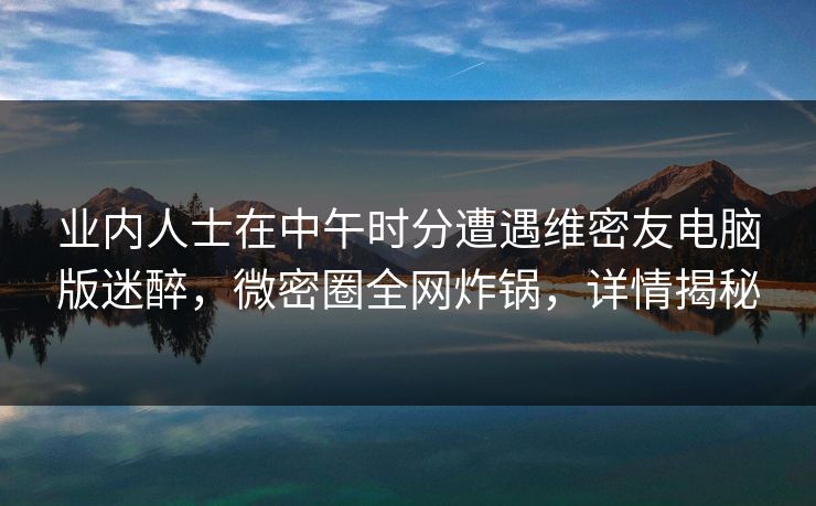业内人士在中午时分遭遇维密友电脑版迷醉，微密圈全网炸锅，详情揭秘