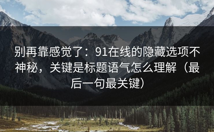 别再靠感觉了：91在线的隐藏选项不神秘，关键是标题语气怎么理解（最后一句最关键）